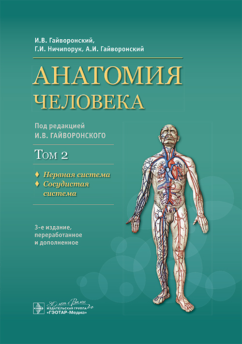 Анатомия человека. Учебник. В 2-х т. Т. 2. Нервная система. Гайворонский