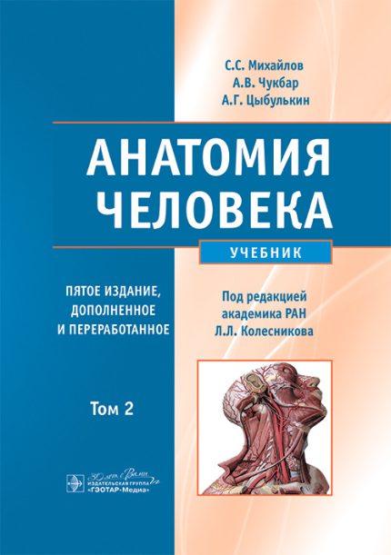 Анатомия человека. Учебник. В 2-х т. Т. 2. 5-е изд. Михайлов С. С.-ГЭОТАР-Медиа, 2025