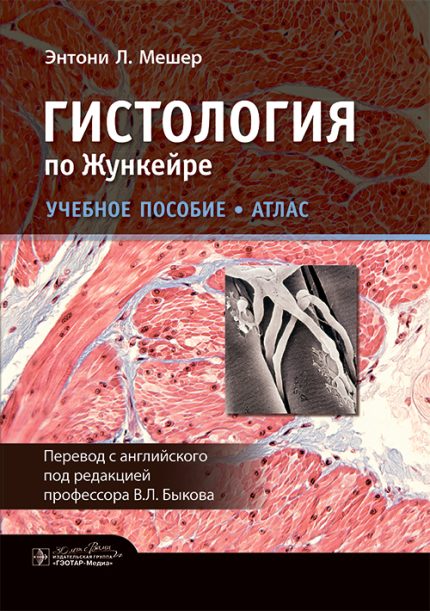 Гистология по Жункейре. Учебное пособие. Атлас. Мешер Э. Л.-ГЭОТАР-Медиа, 2025